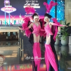 Hot Pink Parisian Showgirls on stilts